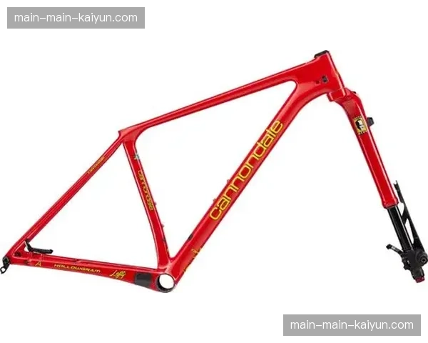 Cannondale与Saddleback“双方同意”终止合作，今年第二个分道扬镳的知名品牌